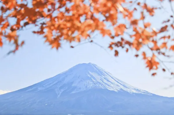 New Year’s Greeting（Only in Japanese）