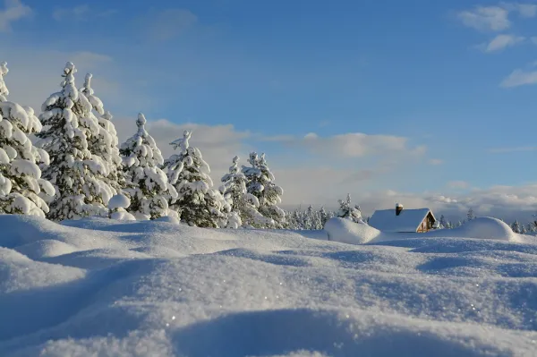 Winter Holidays (2023)（Only in Japanese）