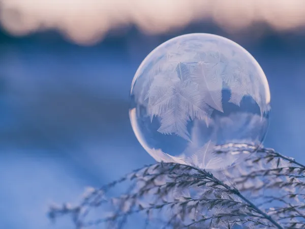 Winter Holidays (2022)（Only in Japanese）