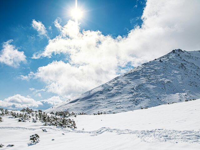 Winter Holidays (2025)